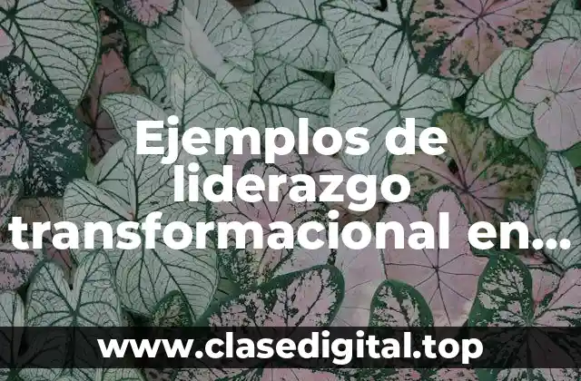 Ejemplos de liderazgo transformacional en una empresa