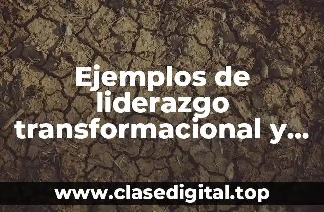 Ejemplos de liderazgo transformacional y transaccional