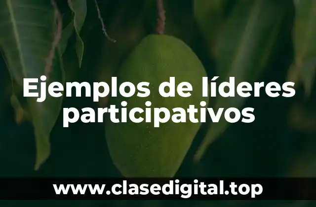 Ejemplos de líderes participativos