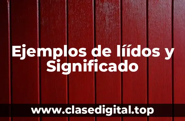 Ejemplos de líídos
