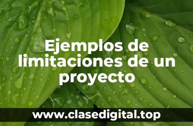Ejemplos de limitaciones de un proyecto