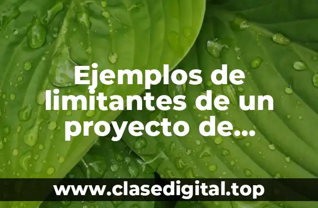 Ejemplos de limitantes de un proyecto de reservaciones de hotel