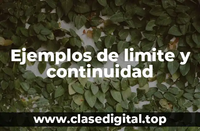 Ejemplos de limite y continuidad