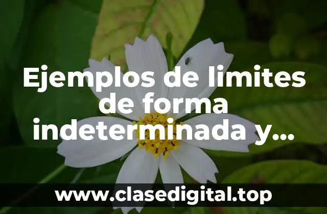 Ejemplos de limites de forma indeterminada y Significado