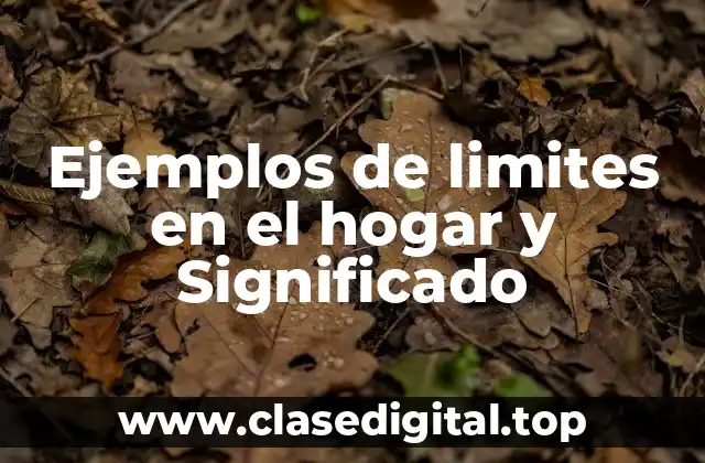 Ejemplos de limites en el hogar y Significado