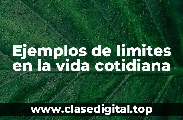 Ejemplos de limites en la vida cotidiana