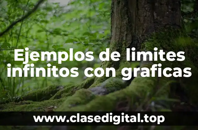 Ejemplos de límites infinitos con gráficas