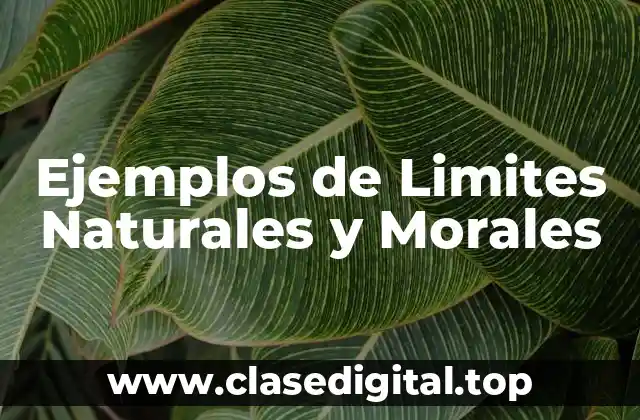 Ejemplos de Limites Naturales y Morales