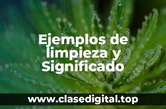Ejemplos de limpieza