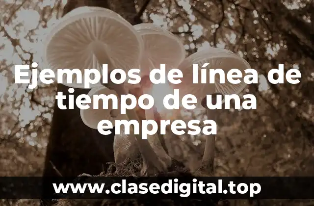 Ejemplos de línea de tiempo de una empresa