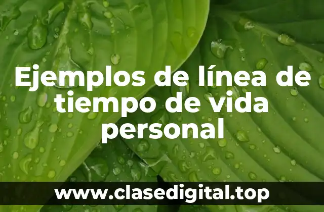 Ejemplos de línea de tiempo de vida personal