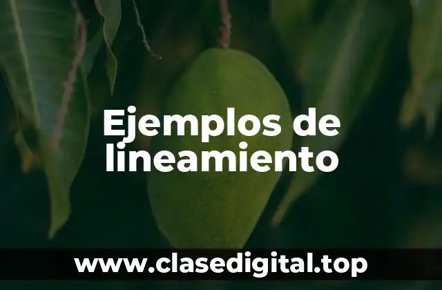 Ejemplos de lineamiento