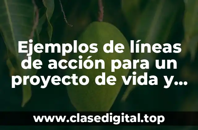 Ejemplos de líneas de acción para un proyecto de vida y Significado