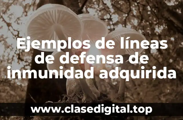Ejemplos de líneas de defensa de inmunidad adquirida