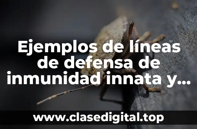 Ejemplos de líneas de defensa de inmunidad innata