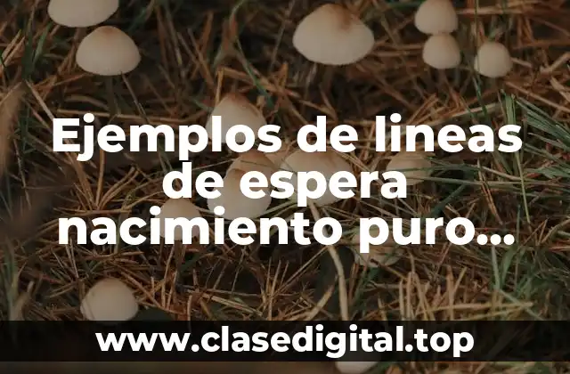 Ejemplos de lineas de espera nacimiento puro investigacion de operaciones