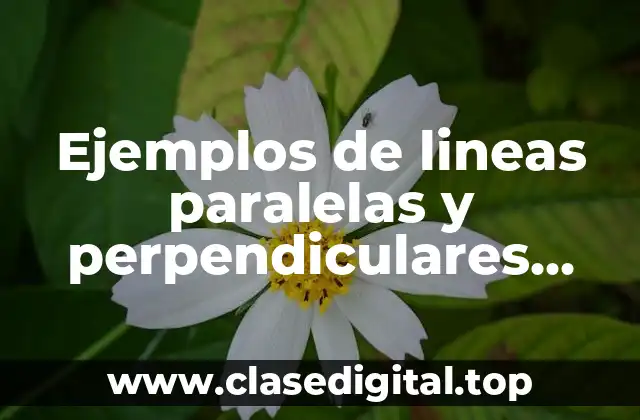 Ejemplos de lineas paralelas y perpendiculares para niños y Significado