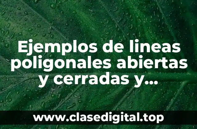 Ejemplos de lineas poligonales abiertas y cerradas y Significado