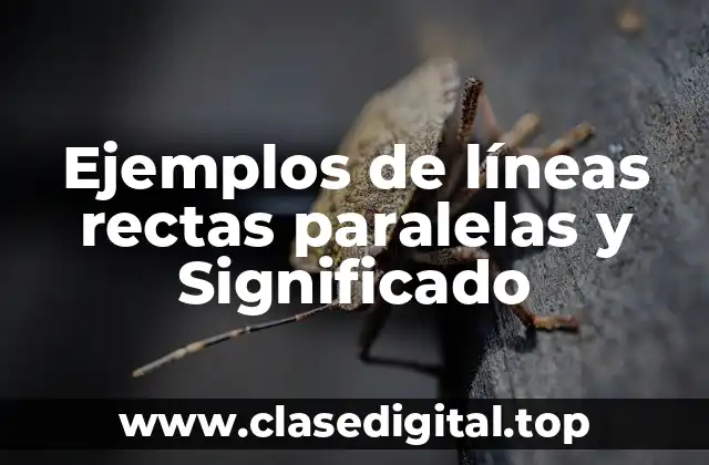 Ejemplos de líneas rectas paralelas y Significado