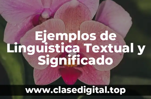 Ejemplos de Linguistica Textual y Significado
