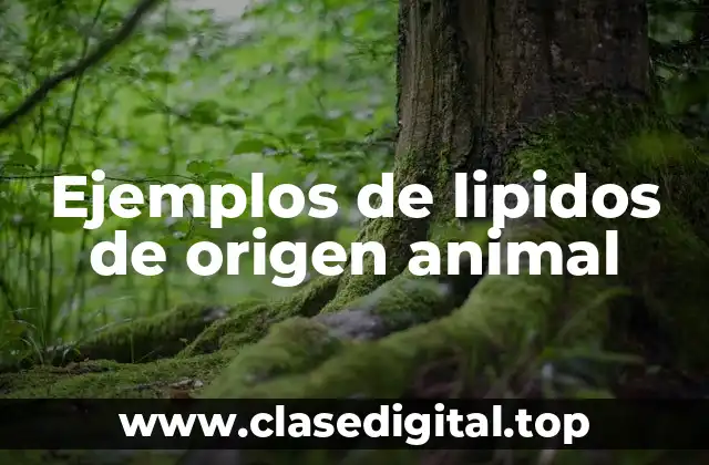 Ejemplos de lipidos de origen animal