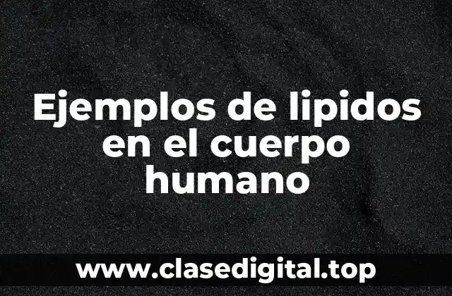 Ejemplos de lipidos en el cuerpo humano