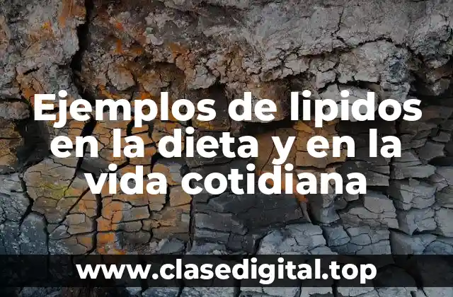 Ejemplos de lipidos en la dieta y en la vida cotidiana