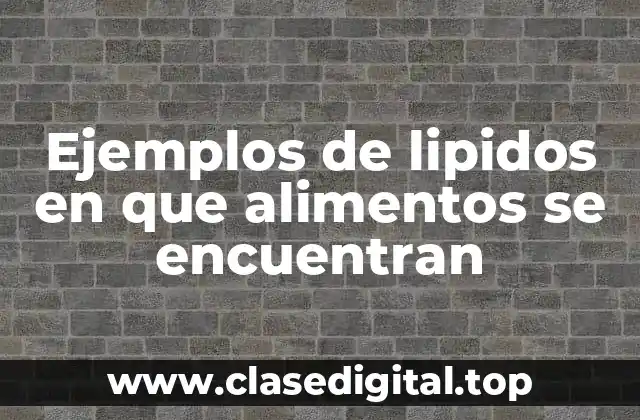 Ejemplos de lipidos en que alimentos se encuentran