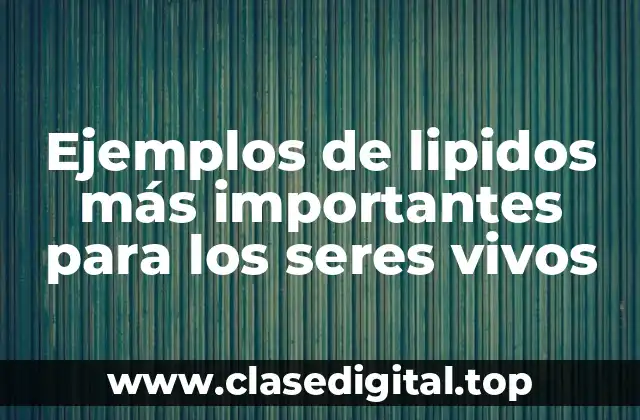 Ejemplos de lipidos más importantes para los seres vivos