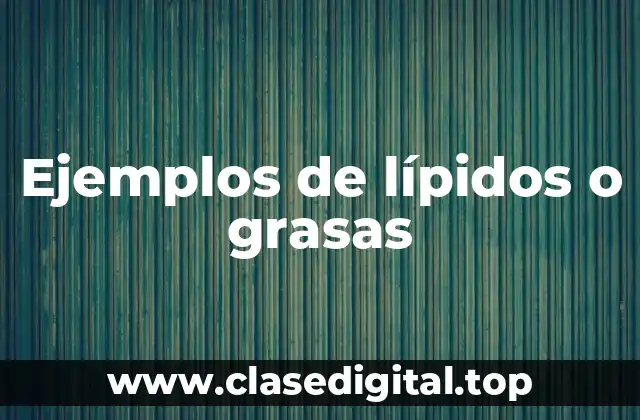 Ejemplos de lípidos o grasas