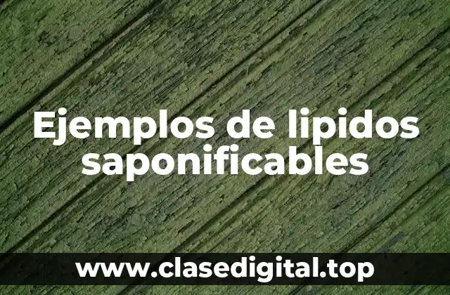 Ejemplos de lipidos saponificables