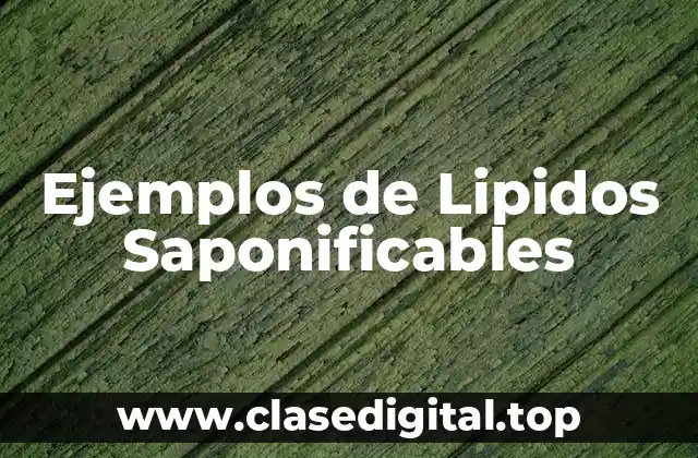 Ejemplos de Lipidos Saponificables