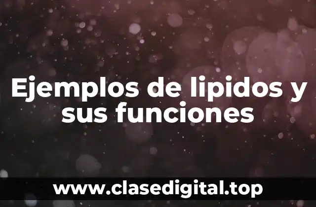 Ejemplos de lipidos y sus funciones