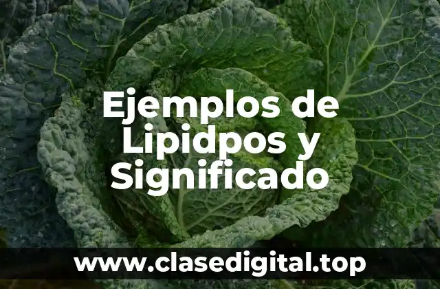 Ejemplos de Lipidpos y Significado