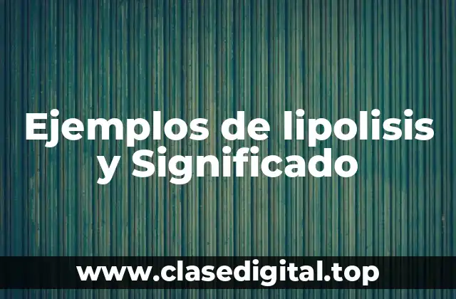 Ejemplos de lipolisis y Significado