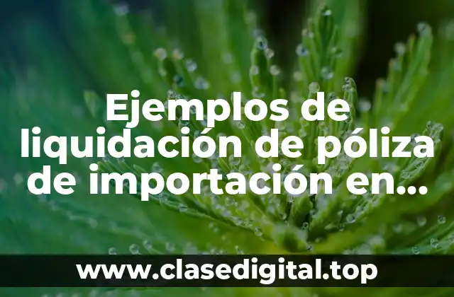 Ejemplos de liquidación de póliza de importación en Nicaragua