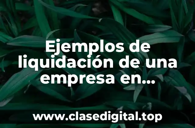 Ejemplos de liquidación de una empresa en Colombia