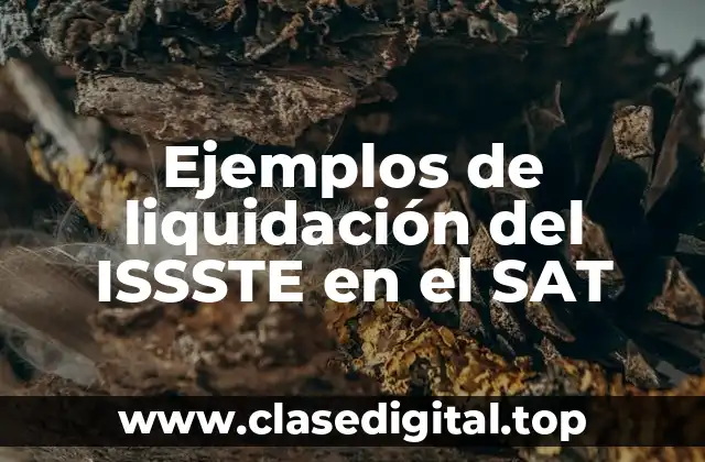 Ejemplos de liquidación del ISSSTE en el SAT