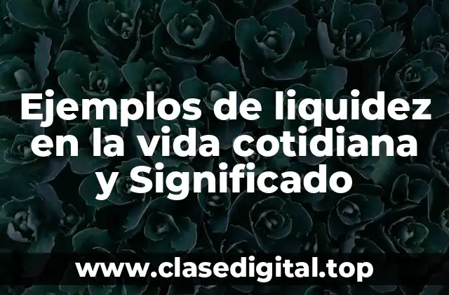 Ejemplos de liquidez en la vida cotidiana y Significado