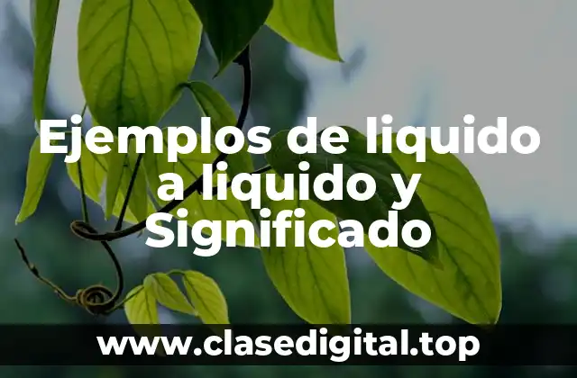 Ejemplos de liquido a liquido y Significado