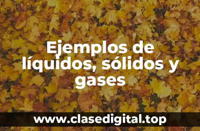 Ejemplos de líquidos, sólidos y gases