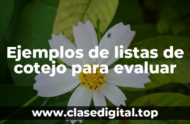 Ejemplos de listas de cotejo para evaluar