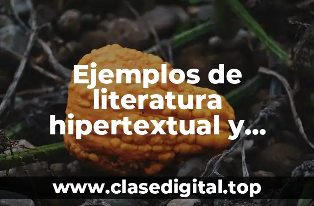 Ejemplos de literatura hipertextual y Significado