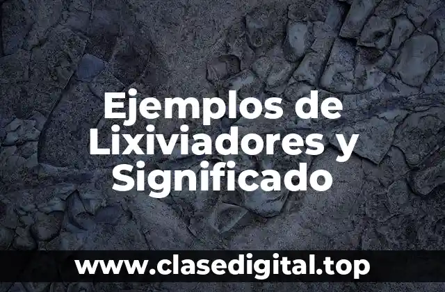 Ejemplos de Lixiviadores y Significado