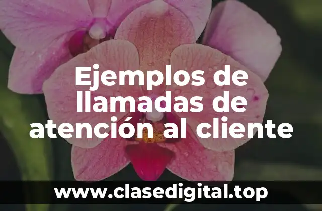 Ejemplos de llamadas de atención al cliente