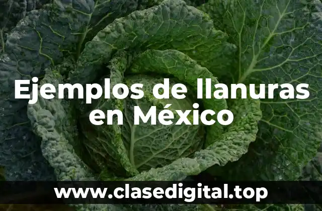 Ejemplos de llanuras en México