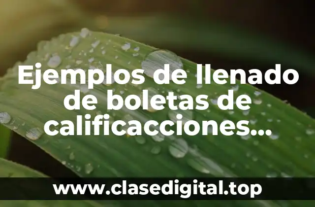 Ejemplos de llenado de boletas de calificacciones primaria segundo grado