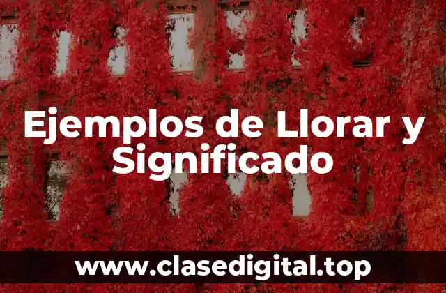 Ejemplos de Llorar y Significado