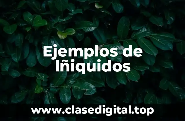 Ejemplos de lñiquidos