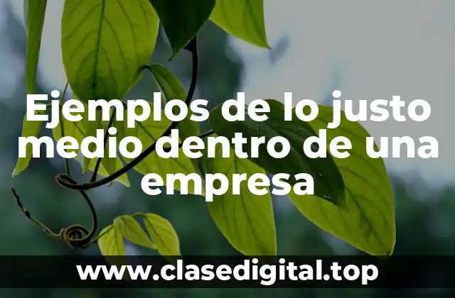 Ejemplos de lo justo medio dentro de una empresa